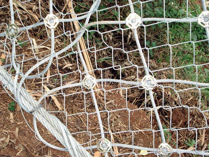 布魯克網(wǎng) 布魯克網(wǎng)