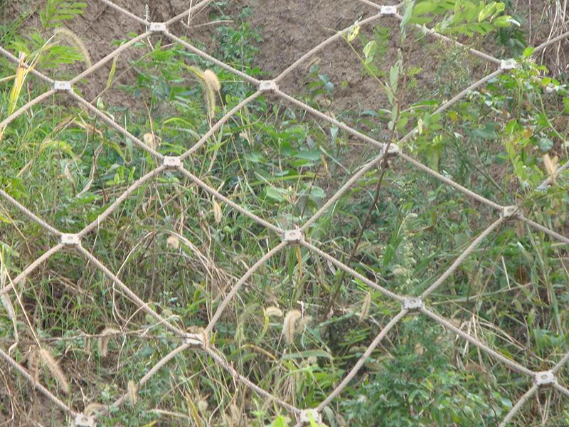 GAP1型主動防護網(wǎng)