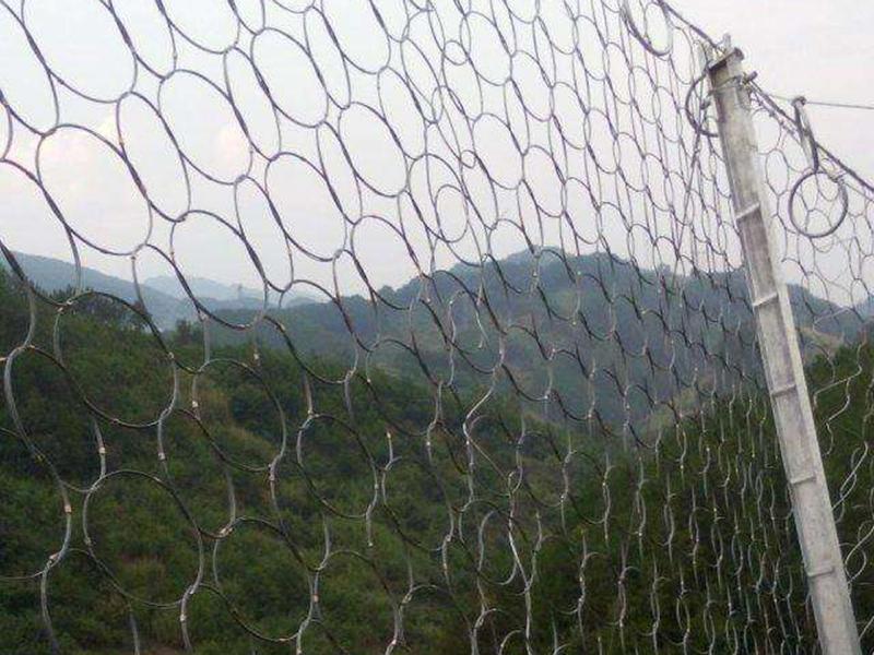 RXI-200環(huán)形被動(dòng)防護(hù)網(wǎng) RXI-200環(huán)形被動(dòng)防護(hù)網(wǎng)