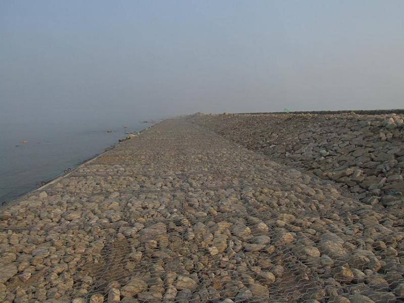 文山雷諾護(hù)墊