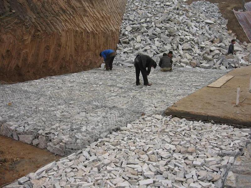 海西高爾凡雷諾護墊